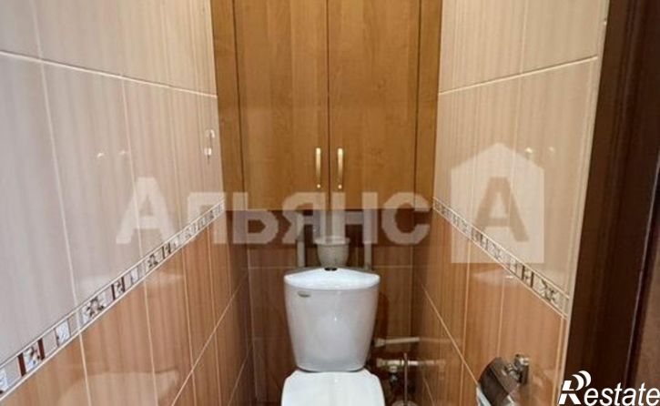 3-комн квартира пр-кт Курчатова, 55,  д. 55