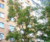 2-комн, 49кв м, этаж 4/9 пр-кт Курчатова, 29А